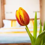 Solaria - In Au-schoppernau Appartement