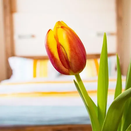 Solaria - In Au-schoppernau Appartement